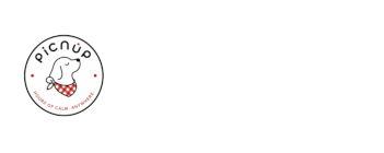 picnup.com
